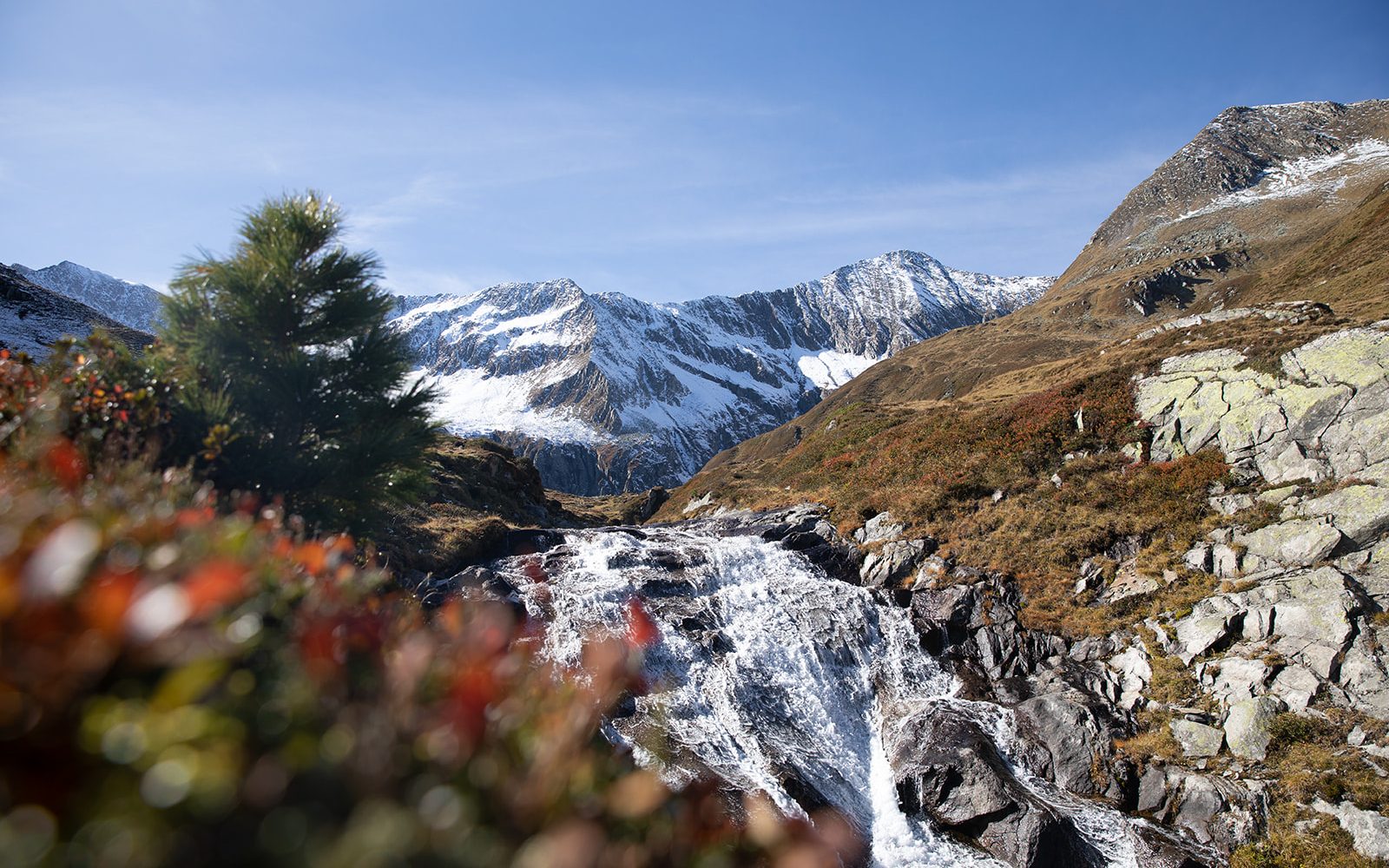 Königsleiten Winter/Sommer